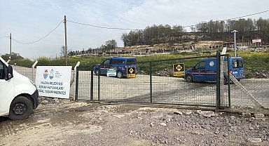 Yalova'da hayvan ölümleri iddialarına soruşturma