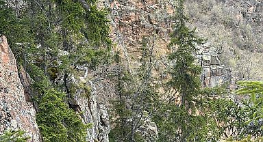 Yaylada mahsur kalan 2 kişi helikopterle kurtarıldı