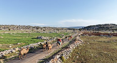 Yörüklerin yayla göçü başladı