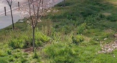 Zeytinburnu'nda otomobil alev alev yandı; özel harekat polisleri yolu kapattı