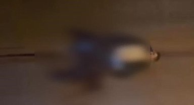 Zeytinburnu'nda sokak ortasında silahla vurulan kişi ağır yaralandı