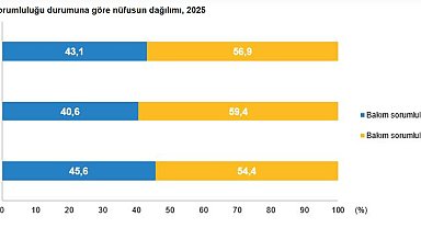 18-74 yaş arası nüfusun yüzde 43,1'i bakım sorumluluğu taşıyor