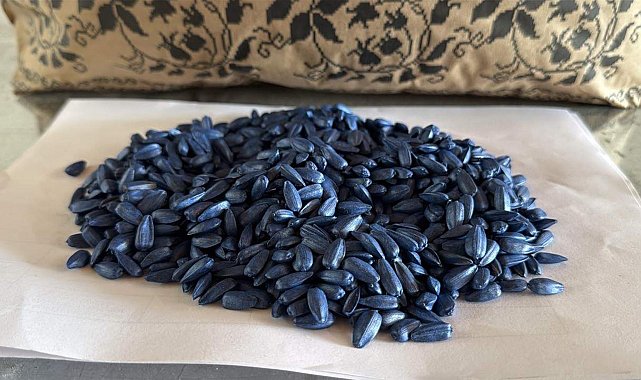 'Yerli ve milli hibrit ayçiçeği tohumunun pazar payı yüzde 15'lere çıktı'