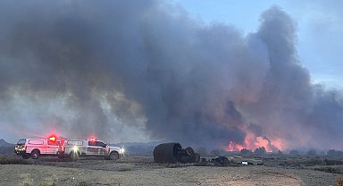 ABD'nin Arizona eyaletinde yangın; 2 bin 200 dönüm alan küle döndü