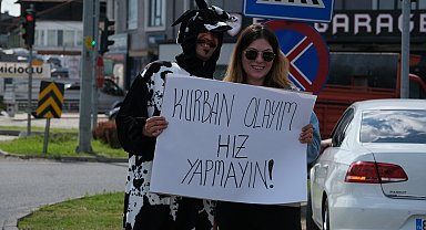 Akan trafikte inek kostümüyle sürücülere hız yapmayın uyarısı