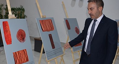 Anadolu ve Mezopotamya'da kullanılan 24 adet antik mührün makro fotoğraflarını sergilediler