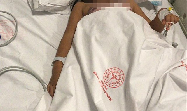 Ankara'da 2 kardeşe saldırıp yaralayan pitbullun sahibi tahliye edildi