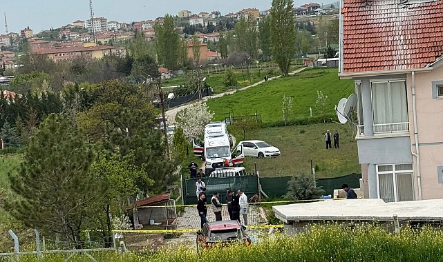 Ankara'da kardeş cinayetinde 3 tutuklama