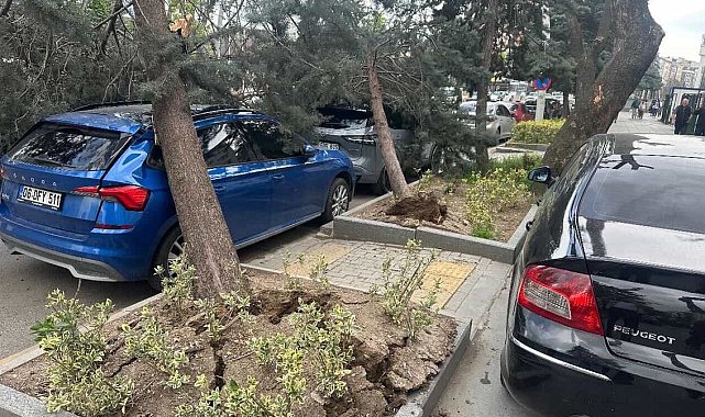 Ankara'da kuvvetli rüzgar; ağaçlar devrildi, araçlar zarar gördü