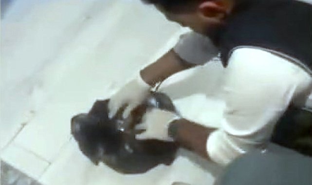 Avcılar ve Esenyurt'ta uyuşturucu operasyonu: 1 şüpheli gözaltına alındı