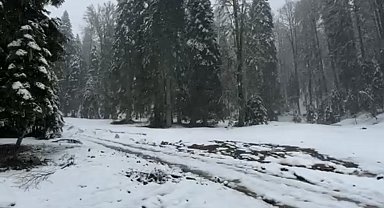 Bartın'ın yüksek kesimlerine kar yağdı