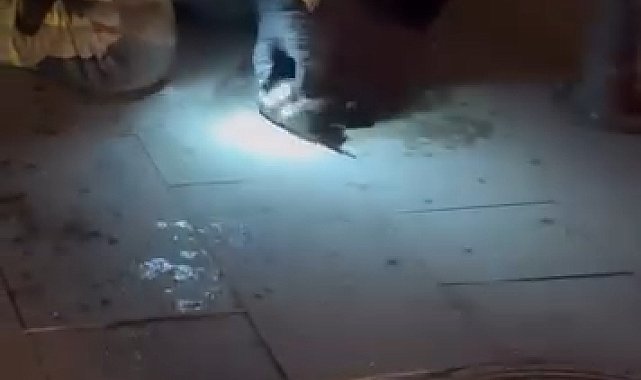 Bayrampaşa'da markette çıkan yangından kurtarılan kediye itfaiye erinden kalp masajı