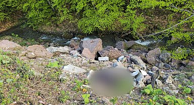 Binlerce saat kamera kaydı incelendi, cinayet şüphelisi bir günde yakalandı