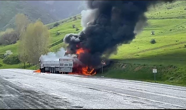 Bitlis'te kafa kafaya çarpışan 2 TIR alev aldı; 2 ölü