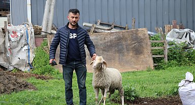 Bolu'daki kurban pazarlarında hareketlilik başladı