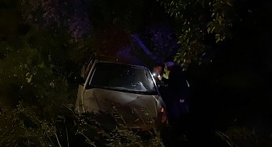 Bursa'da otomobil zeytinliğe uçtu: 2'si çocuk 4 yaralı