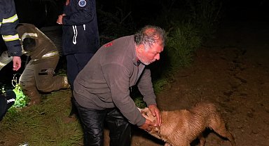 Bursa'da taşan dere çiftliği bastı: Mahsur kalan çiftçi ve köpeği kurtarıldı