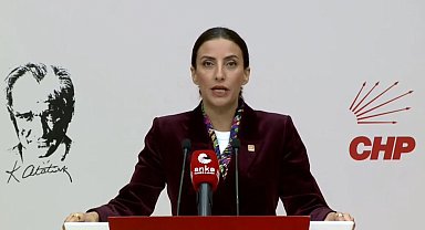 CHP'li Rızvanoğlu: Bu ülkenin ormanları sahipsiz değil