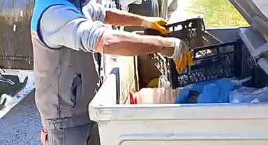 Çöp konteynerine atılan kaplumbağa kurtarıldı