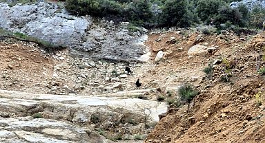Dağlık alanda mahsur kalan 2 çocuk kurtarıldı