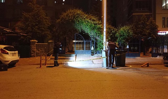 Darbedilen kadına yardım eden 2 kardeş bıçakla yaralandı