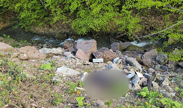 Dere kenarında bıçaklanarak öldürülmüş erkek cesedi bulundu