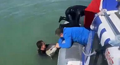 Derede yaşam mücadelesi veren yunusu, polis kurtardı