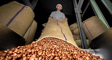 Doğu Karadeniz'den ilk 4 ayda 678 milyon dolarlık ihracat
