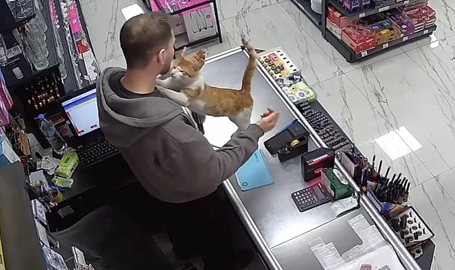 Dükkanının önünde bulduğu kedisiyle her gün kucaklaşıyor