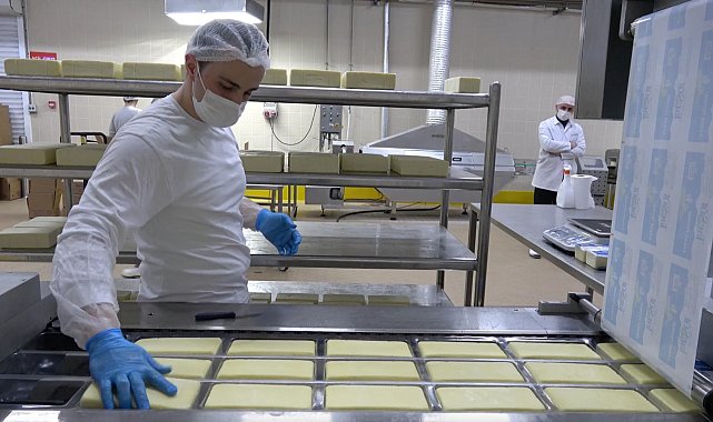 Erzincan'da günlük 45 ton kapasiteli süt fabrikası çiftçiye gelir sağlıyor