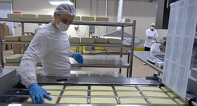 Erzincan'da günlük 45 ton kapasiteli süt fabrikası çiftçiye gelir sağlıyor