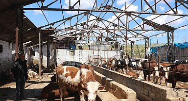 Fırtınada devrilen duvarın altında kalan besici: Sağ çıktığım için şükrediyorum