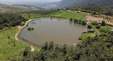 Geçen yıl kuruyan Sülüklü Göl, son yağışlarla yeniden doldu