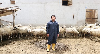 Hayvan sevgisiyle sağlığına kavuştu; köyüne dönüp modern tarım ve hayvancılığa başladı