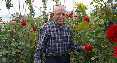 Hıdırellez öncesi gül satışı arttı