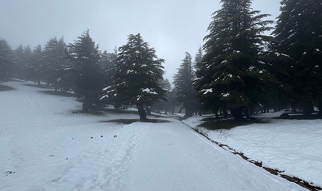 Huzurlu Yaylası'na kar yağdı
