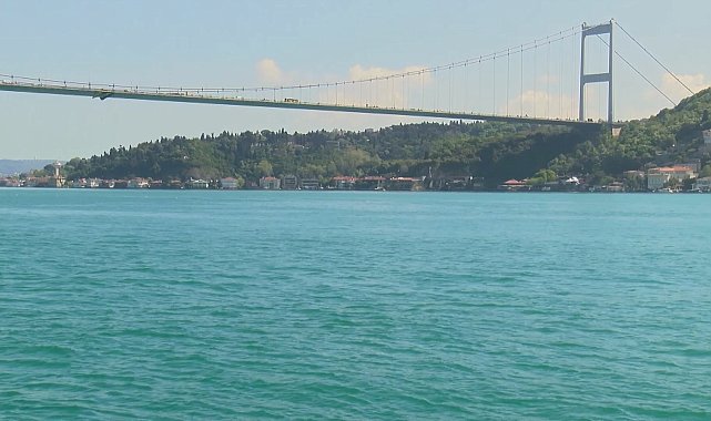 İstanbul Boğazı'nda yunus sürprizi