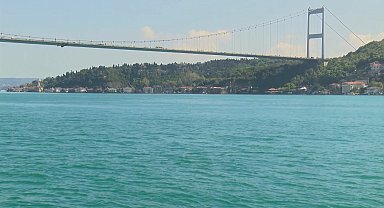 İstanbul Boğazı'nda yunus sürprizi