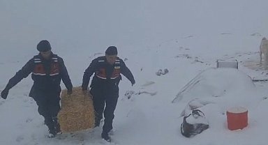 Jandarmadan karda mahsur kalan hayvanlar için saman balyası