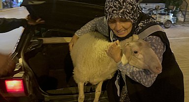 Kaçan kuzuya benzetilen 'Çorap', kurbanlık olmaktan son anda kurtuldu