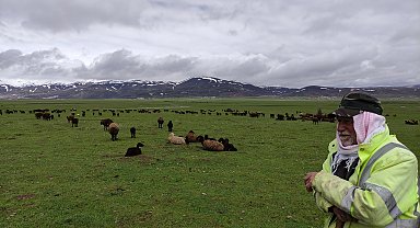 Kardan kapanan yaylalara çıkamayan besiciler, hayvanlarını ovada bekletiyor