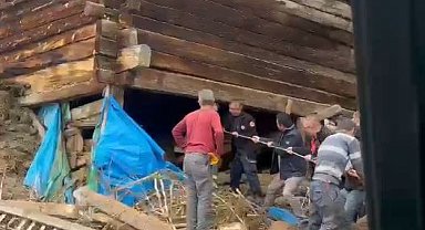 Kastamonu'da ağıl çöktü: 1 ölü