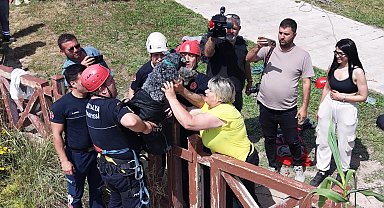 Kedi kovalarken falezlerden düşen köpek, dronla tespit edilip kurtarıldı