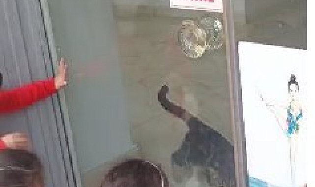 Kedi, öğrencilerin duyduğu miyavlama sesi sayesinde kurtarıldı