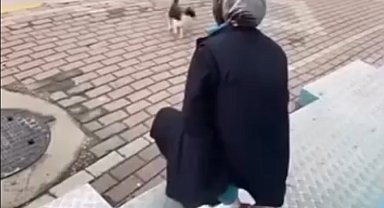 Kedinin yüzüne sprey sıkan market çalışanı gözaltına alındı