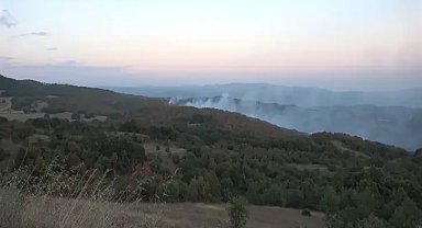 Kocaeli'de ormanlara giriş yasaklandı