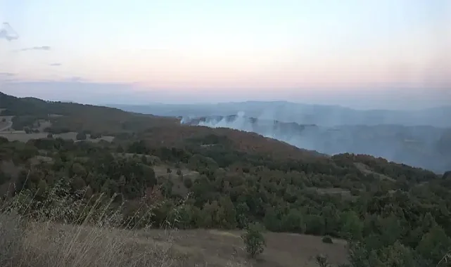Kocaeli'de ormanlara giriş yasaklandı