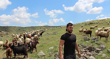 Köyüne dönüp hayvancılığa başladı, 2 yılda bin 300 koyunu oldu