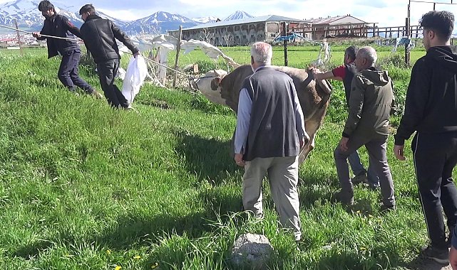 Kurban keserken kalp krizi geçirip öldü