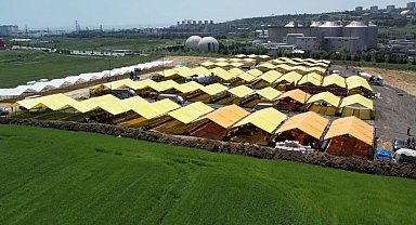 Kurbanlıklar Avcılar'da kurulan pazardaki çadırlarda yerini aldı